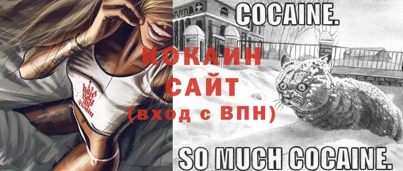 COCAIN Боливия  Аркадак 